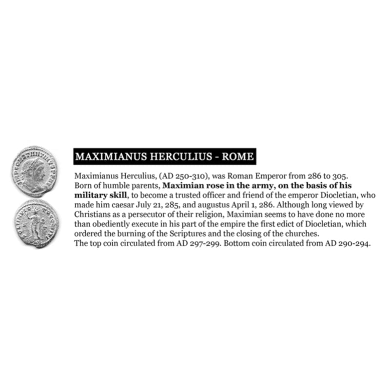 Tat2 Maximianus Coin & Crystal Earrings E207